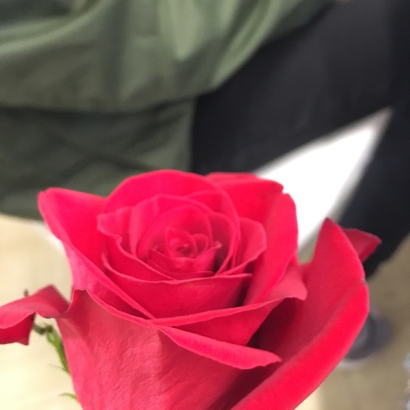 paulaa40888_